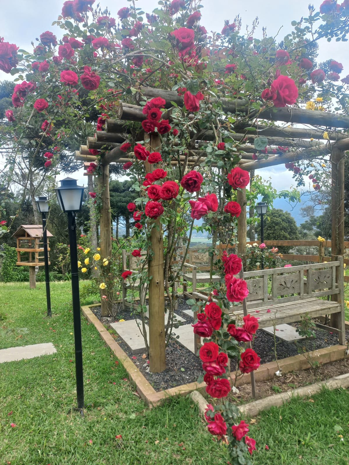 Camada 28areascomuns