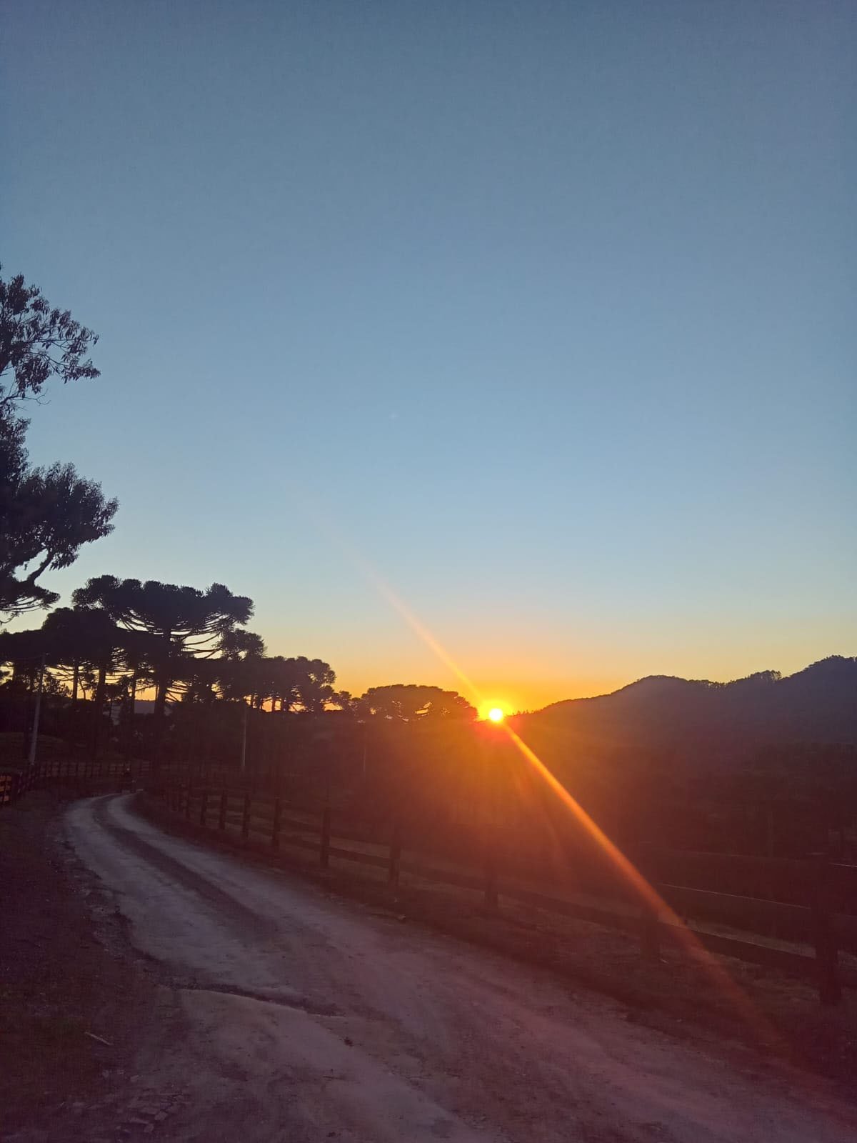 Camada 29areascomuns