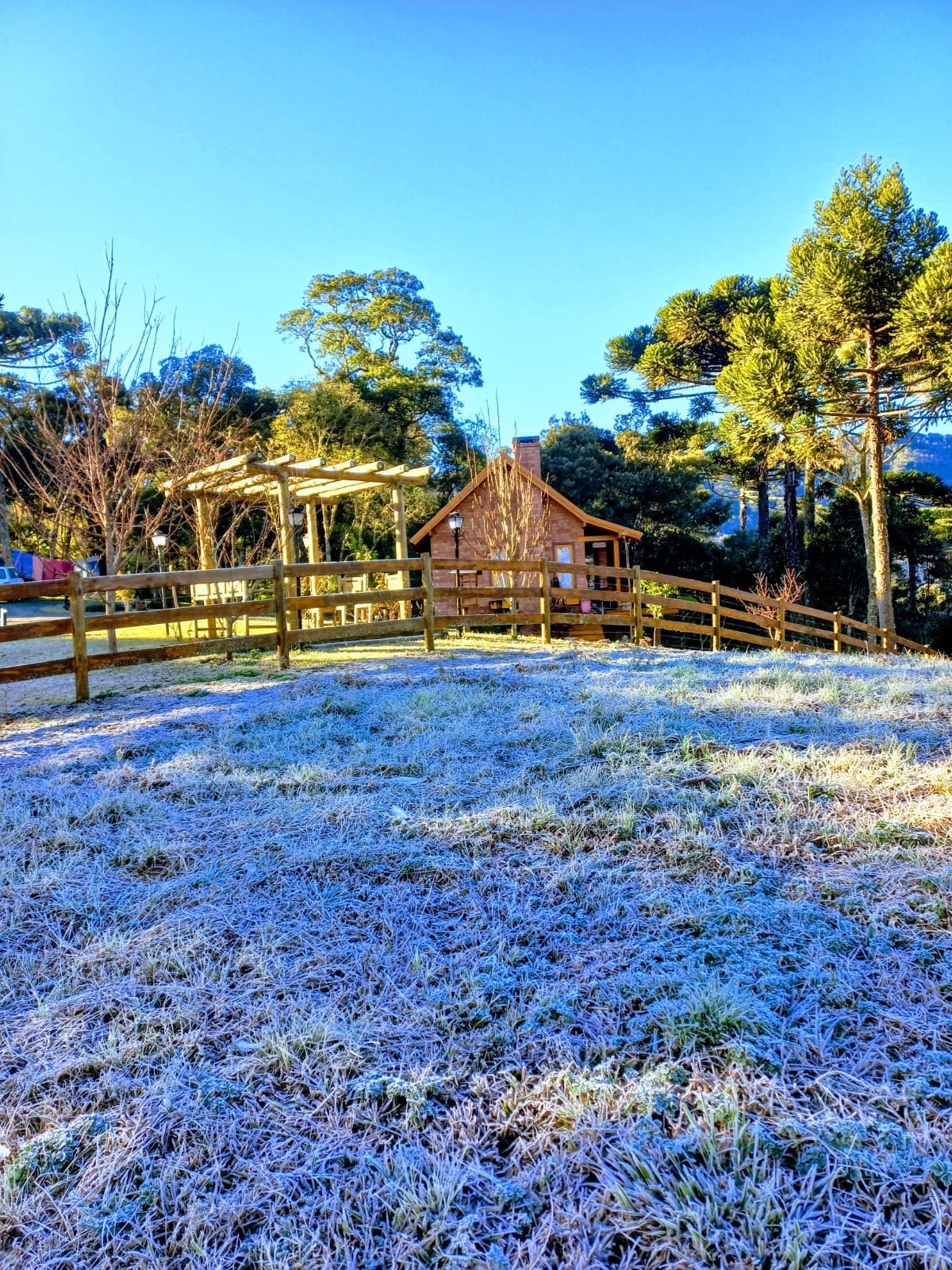 Camada 31areascomuns