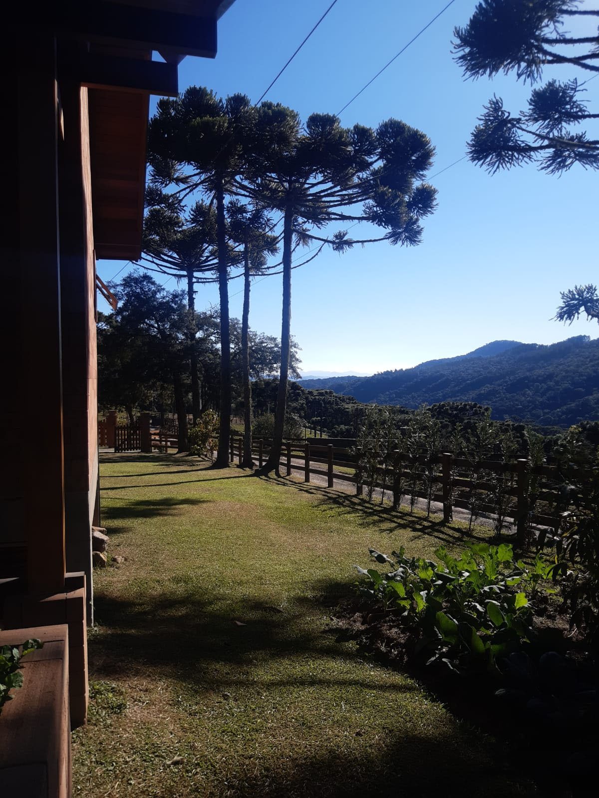 Camada 33areascomuns